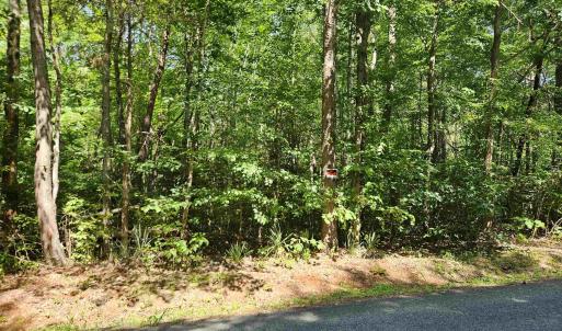 Photo #6 of 9Ac CHILDRESS RD, DILLWYN, VA 9.0 acres