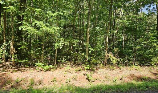 Photo #7 of 9Ac CHILDRESS RD, DILLWYN, VA 9.0 acres