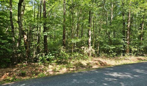 Photo #5 of 9Ac CHILDRESS RD, DILLWYN, VA 9.0 acres