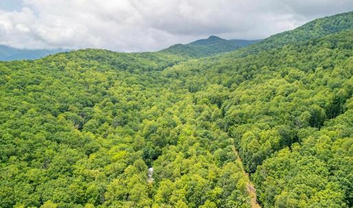 Photo #16 of 1509 SPRUCE CREEK LN, NELLYSFORD, VA 6.5 acres