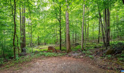 Photo #8 of 1509 SPRUCE CREEK LN, NELLYSFORD, VA 6.5 acres
