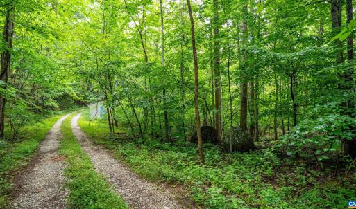 Photo #7 of 1509 SPRUCE CREEK LN, NELLYSFORD, VA 6.5 acres