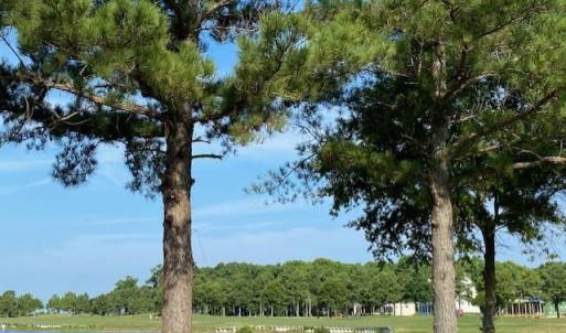 Photo #4 of 205 MUIRFIELD DRIVE, CAPE CHARLES, VA 0.2 acres