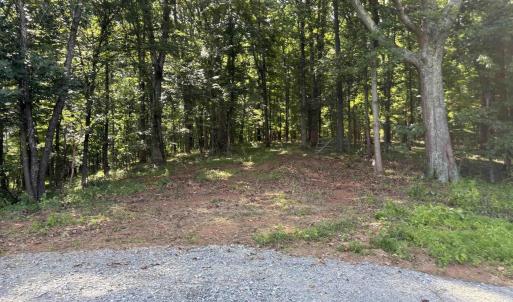 Photo #10 of TM 39-31&33b THRIFT RD, MADISON, VA 42.0 acres