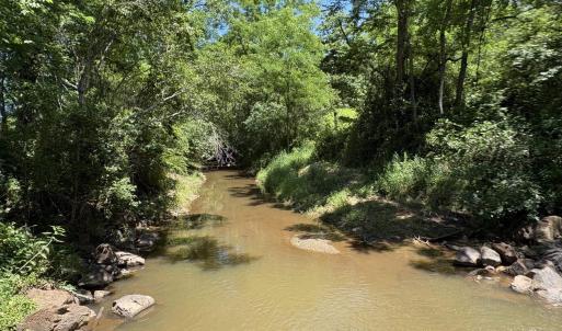 Photo #9 of TM 39-31&33b THRIFT RD, MADISON, VA 42.0 acres