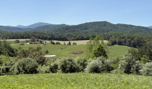 Photo #4 of TM 39-31&33b THRIFT RD, MADISON, VA 42.0 acres