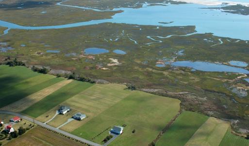 Photo #8 of Lot 6 ASSAWOMAN DR, MODESTOWN, VA 2.7 acres