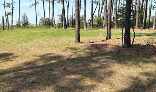 Photo #16 of 21302 WISE POINT LN, ONANCOCK, VA 22.4 acres