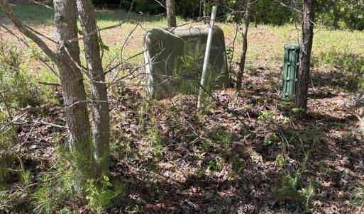 Photo #19 of 21302 WISE POINT LN, ONANCOCK, VA 22.4 acres