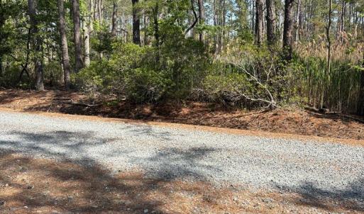 Photo #21 of 21302 WISE POINT LN, ONANCOCK, VA 22.4 acres