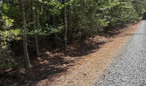 Photo #25 of 21302 WISE POINT LN, ONANCOCK, VA 22.4 acres