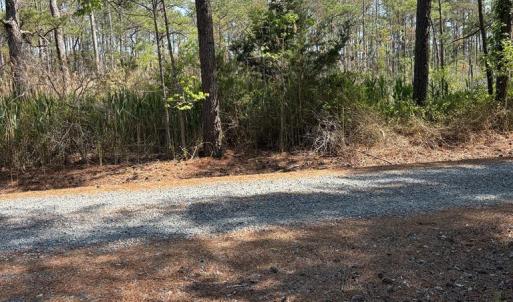 Photo #26 of 21302 WISE POINT LN, ONANCOCK, VA 22.4 acres