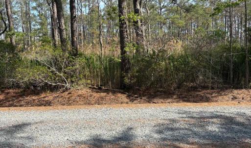 Photo #27 of 21302 WISE POINT LN, ONANCOCK, VA 22.4 acres