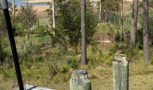 Photo #3 of 21302 WISE POINT LN, ONANCOCK, VA 22.4 acres