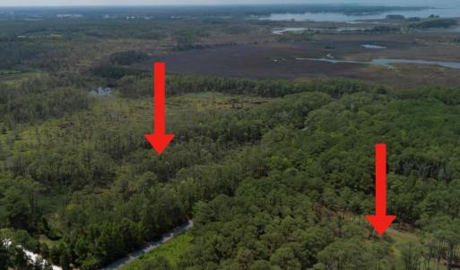 Photo #5 of 21302 WISE POINT LN, ONANCOCK, VA 22.4 acres