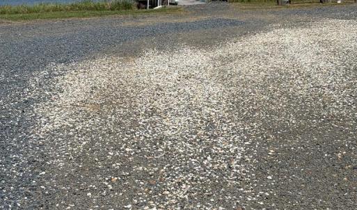 Photo #9 of 21302 WISE POINT LN, ONANCOCK, VA 22.4 acres