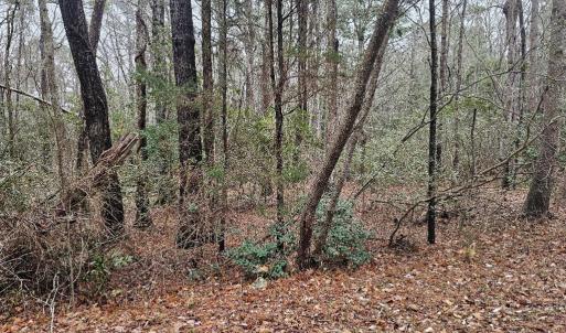 Photo #2 of LOT 25 JACOBUS CREEK RD, MACHIPONGO, VA 1.5 acres