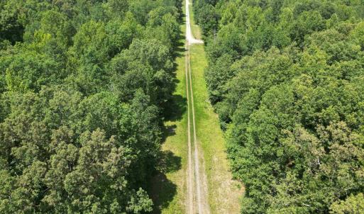 Photo #2 of BAMBI CT, BEAVERDAM, VA 10.1 acres
