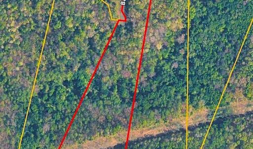 Photo #6 of BAMBI CT, BEAVERDAM, VA 10.1 acres