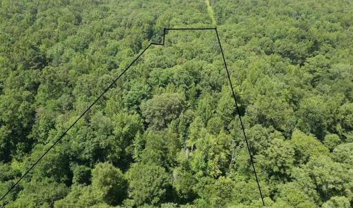 Photo #5 of BAMBI CT, BEAVERDAM, VA 10.1 acres