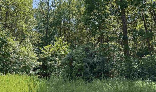 Photo #1 of BAMBI CT, BEAVERDAM, VA 10.1 acres