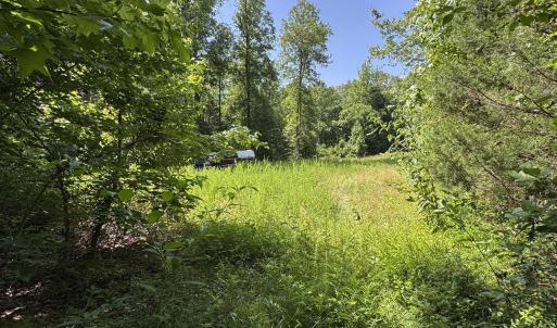 Photo #3 of BAMBI CT, BEAVERDAM, VA 10.1 acres