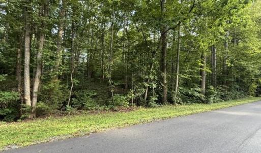 Photo #5 of TBD ELLIS DR, LOUISA, VA 0.3 acres