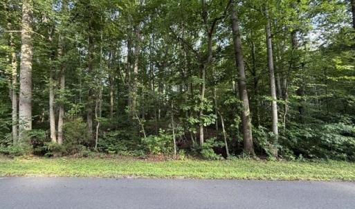 Photo #6 of TBD ELLIS DR, LOUISA, VA 0.3 acres