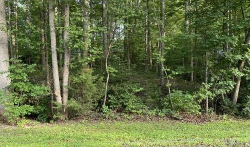 Photo #1 of TBD ELLIS DR, LOUISA, VA 0.3 acres