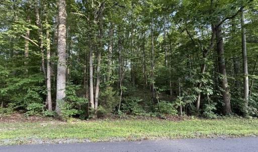 Photo #3 of TBD ELLIS DR, LOUISA, VA 0.3 acres