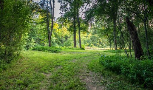 Photo #54 of TBD BRIDGEPORT RD, ARVONIA, VA 29.6 acres