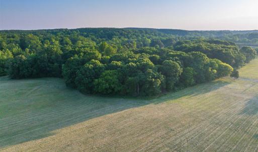 Photo #17 of TBD BRIDGEPORT RD, ARVONIA, VA 29.6 acres