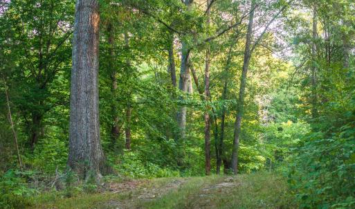 Photo #50 of TBD BRIDGEPORT RD, ARVONIA, VA 29.6 acres