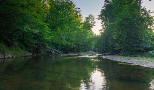Photo #42 of TBD BRIDGEPORT RD, ARVONIA, VA 29.6 acres