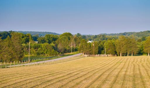 Photo #9 of TBD BRIDGEPORT RD, ARVONIA, VA 29.6 acres
