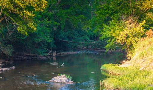 Photo #35 of TBD BRIDGEPORT RD, ARVONIA, VA 29.6 acres