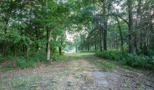 Photo #46 of TBD BRIDGEPORT RD, ARVONIA, VA 29.6 acres