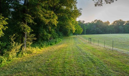 Photo #21 of TBD BRIDGEPORT RD, ARVONIA, VA 29.6 acres