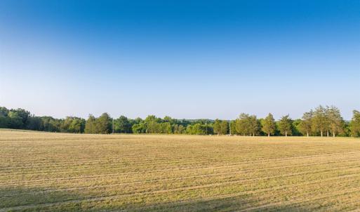 Photo #15 of TBD BRIDGEPORT RD, ARVONIA, VA 29.6 acres