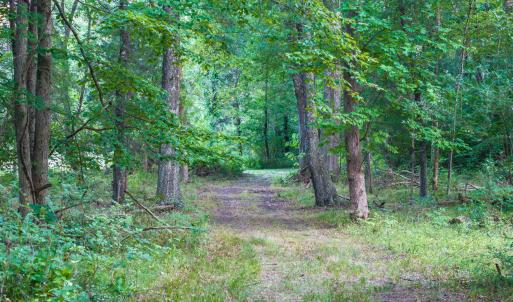 Photo #49 of TBD BRIDGEPORT RD, ARVONIA, VA 29.6 acres