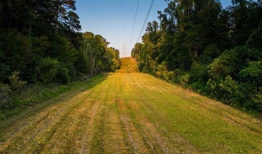 Photo #33 of TBD BRIDGEPORT RD, ARVONIA, VA 29.6 acres