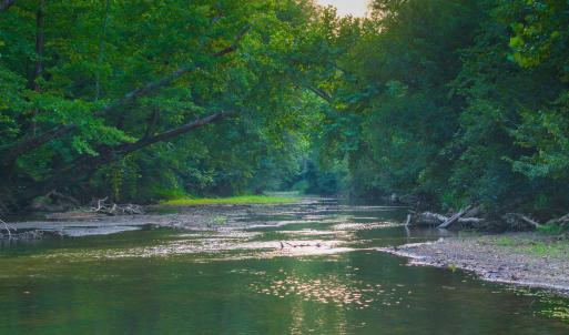 Photo #39 of TBD BRIDGEPORT RD, ARVONIA, VA 29.6 acres