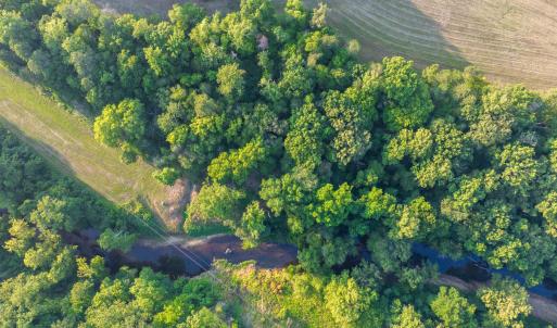 Photo #29 of TBD BRIDGEPORT RD, ARVONIA, VA 29.6 acres