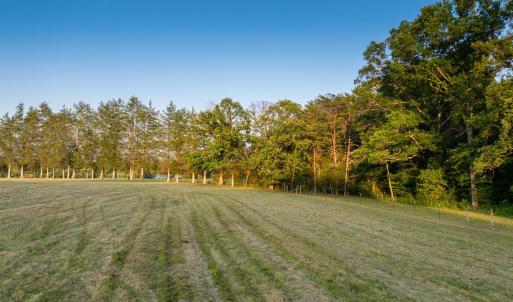Photo #20 of TBD BRIDGEPORT RD, ARVONIA, VA 29.6 acres