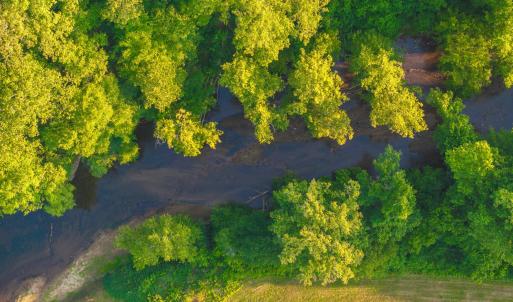 Photo #31 of TBD BRIDGEPORT RD, ARVONIA, VA 29.6 acres
