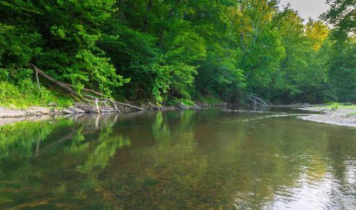 Photo #36 of TBD BRIDGEPORT RD, ARVONIA, VA 29.6 acres