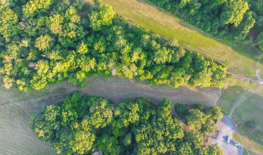 Photo #28 of TBD BRIDGEPORT RD, ARVONIA, VA 29.6 acres