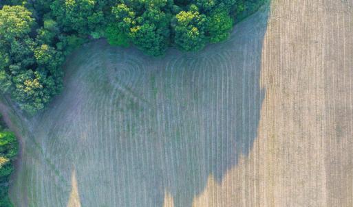 Photo #14 of TBD BRIDGEPORT RD, ARVONIA, VA 29.6 acres