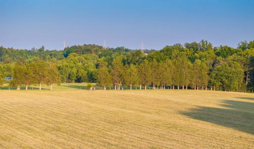 Photo #8 of TBD BRIDGEPORT RD, ARVONIA, VA 29.6 acres