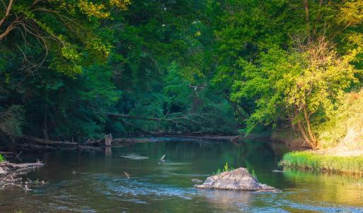 Photo #40 of TBD BRIDGEPORT RD, ARVONIA, VA 29.6 acres